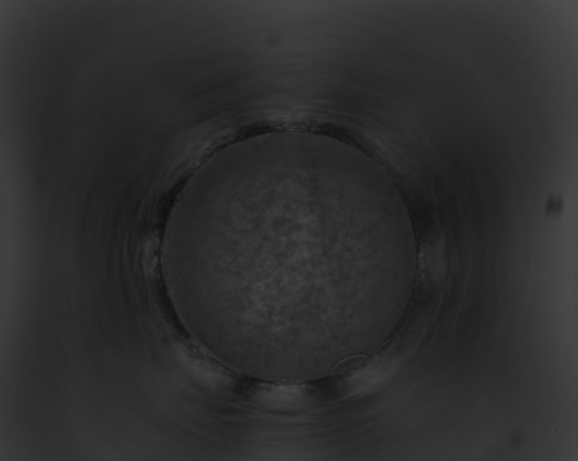 X0000093100671200710031500
