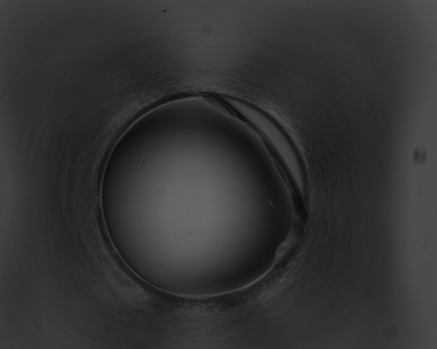 X0000093100673200710031500