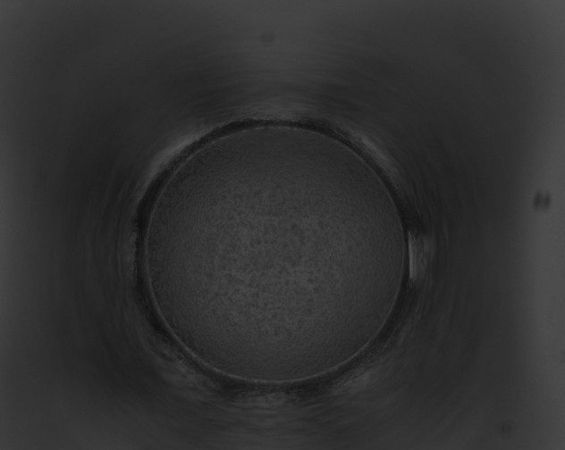 X0000093100675200710031459