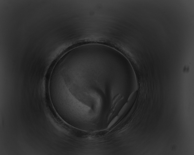 X0000093100678200710031459