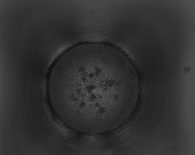 X0000093100679200710031459