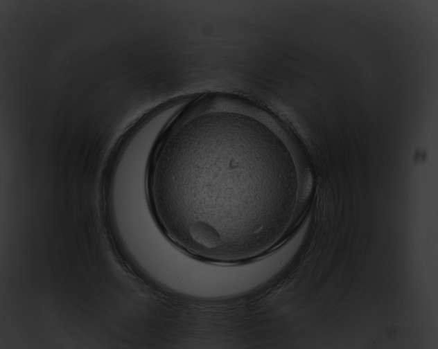 X0000093100680200710031459