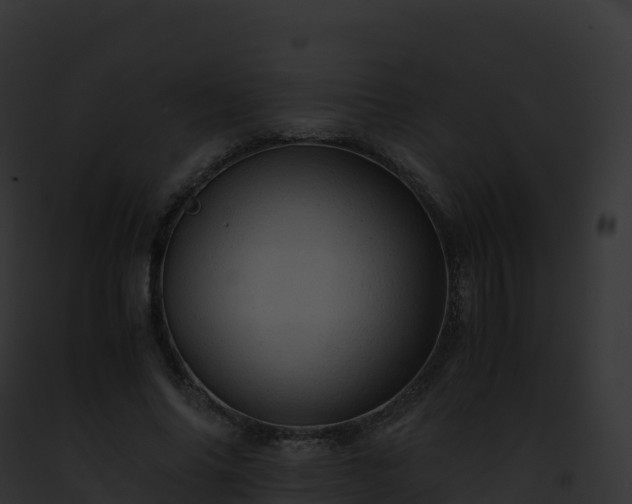 X0000093100686200710031459