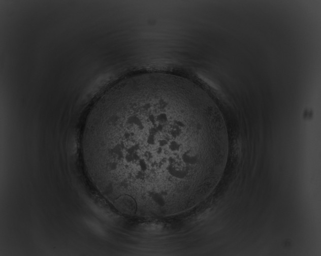 X0000093100687200710031459