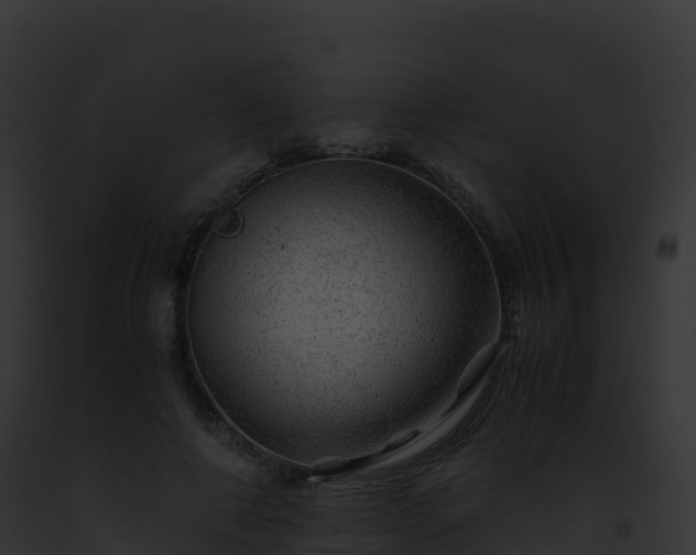 X0000093100690200710031459