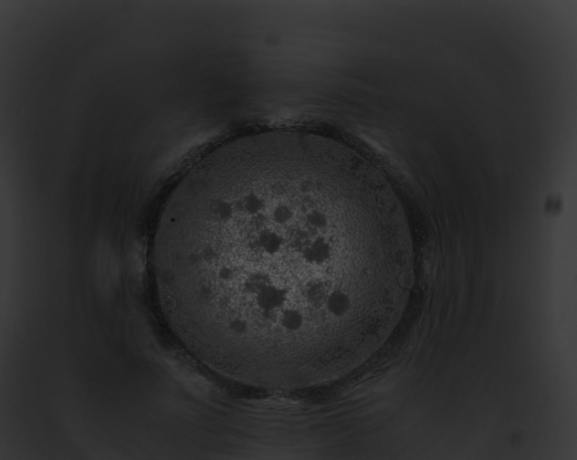 X0000093100691200710031459