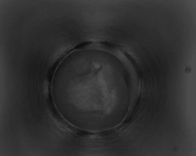 X0000093100692200710031459