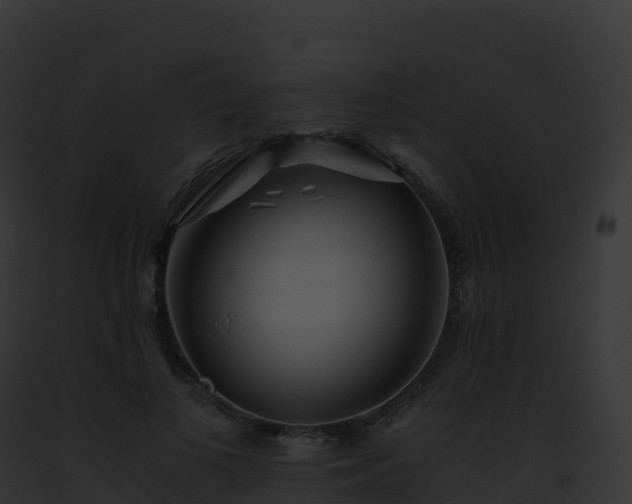 X0000093100693200710031459
