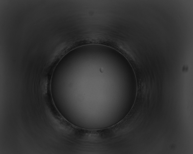 X0000093100694200710031459
