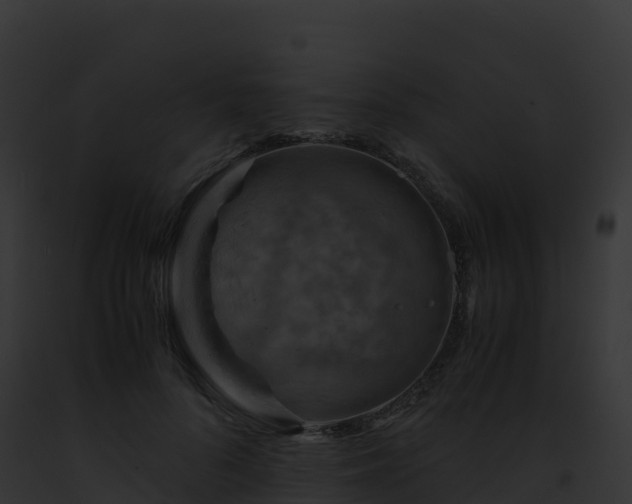 X0000093100696200710031459