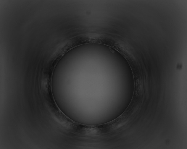X0000093100698200710031459