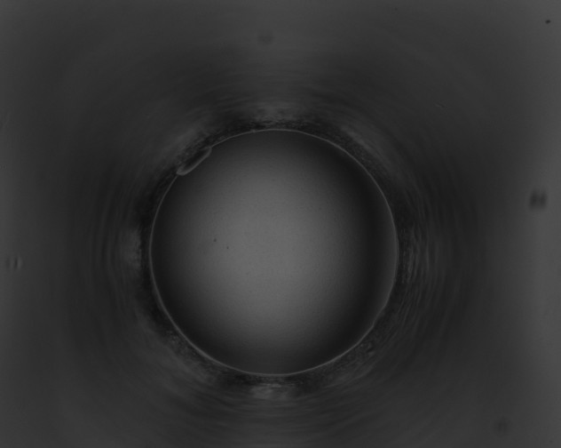 X0000093100700200710031459