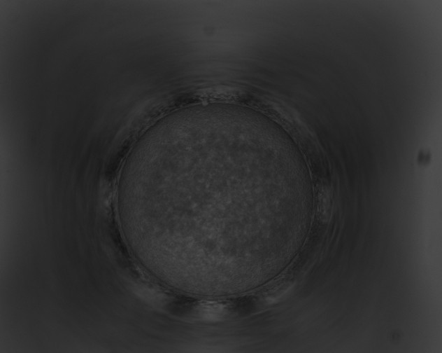 X0000093100701200710031459