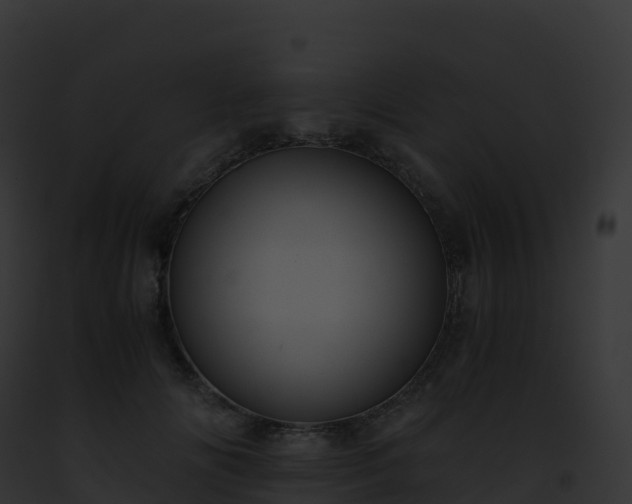 X0000093100702200710031459