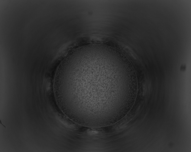 X0000093100706200710031459