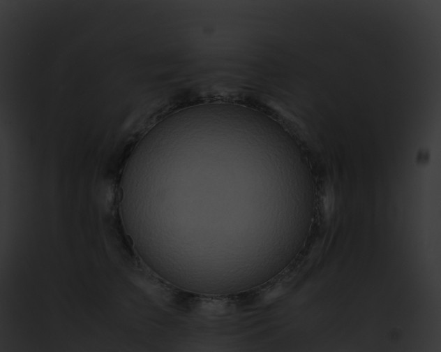 X0000093100709200710031459