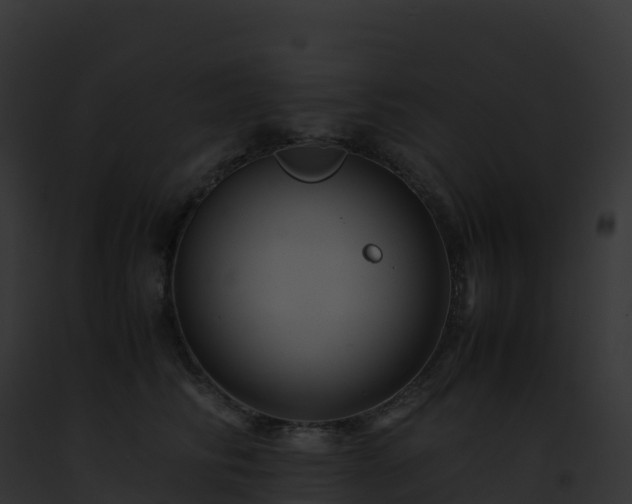 X0000093100710200710031459