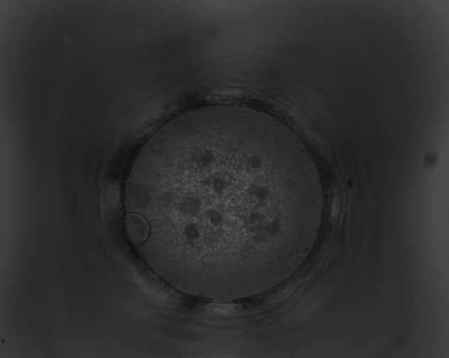 X0000093100711200710031459