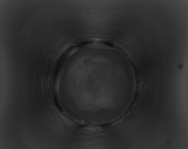 X0000093100712200710031459