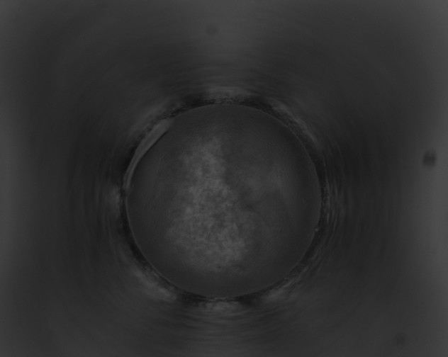 X0000093100716200710031459