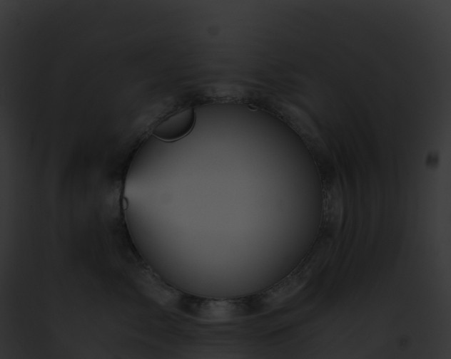 X0000093100717200710031459
