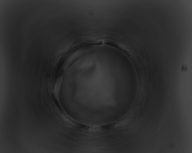 X0000093100720200710031459