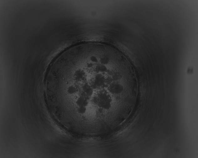 X0000093100721200710031458