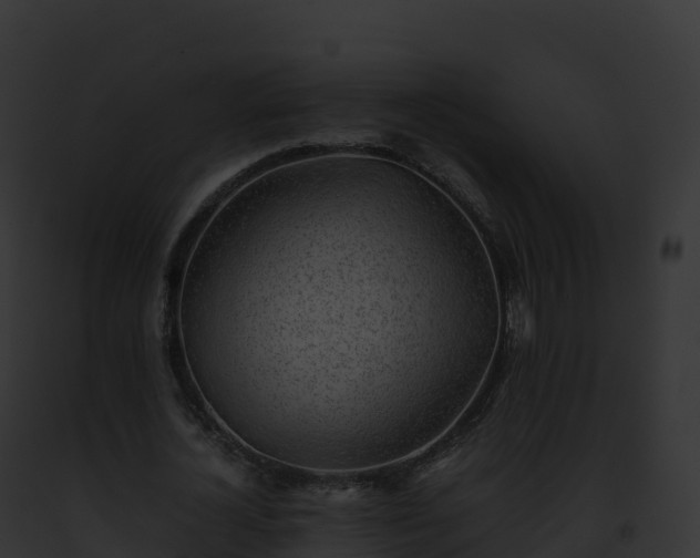 X0000093100724200710031458