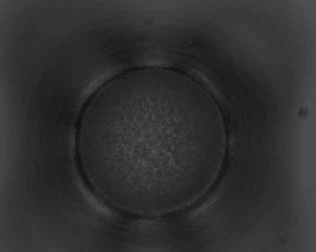 X0000093100725200710031458