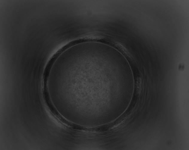 X0000093100726200710031458