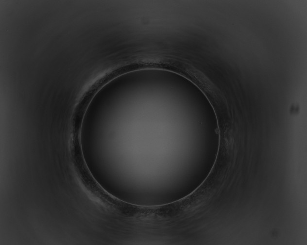 X0000093100728200710031458