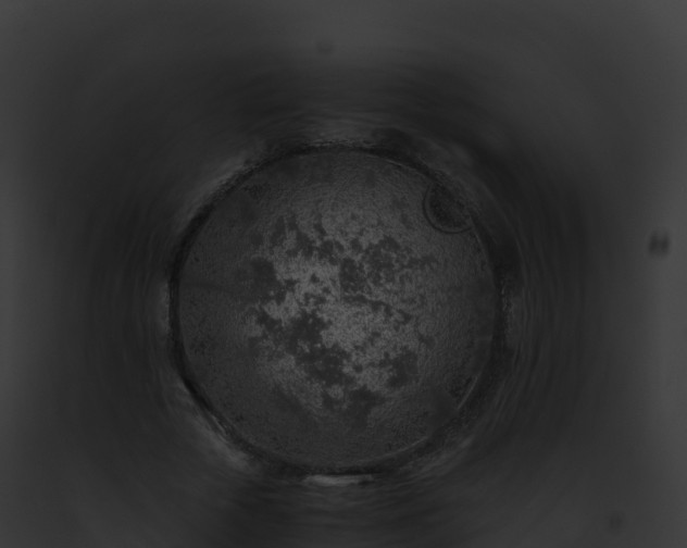 X0000093100729200710031458
