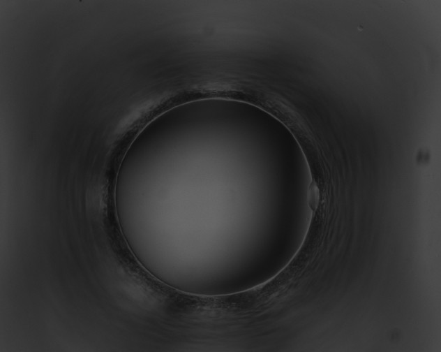 X0000093100732200710031458