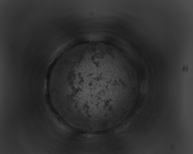 X0000093100733200710031458