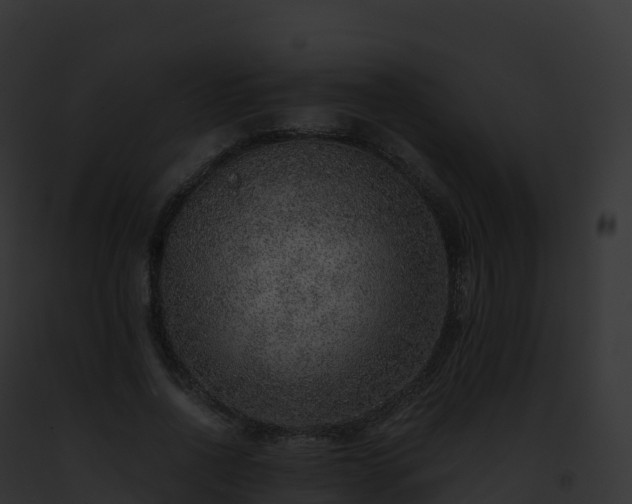 X0000093100734200710031458