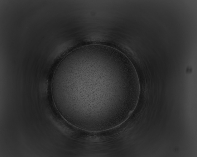 X0000093100735200710031458