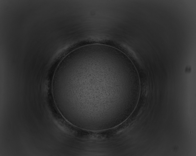 X0000093100736200710031458