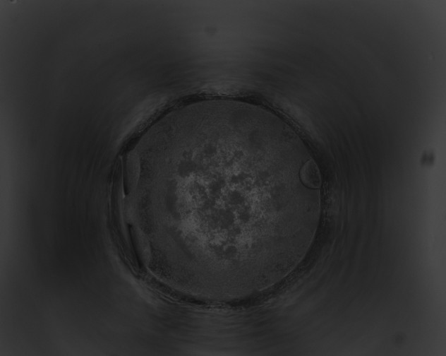 X0000093100738200710031458