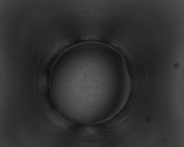 X0000093100739200710031458