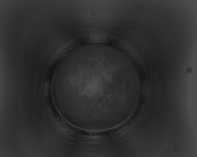 X0000093100741200710031458
