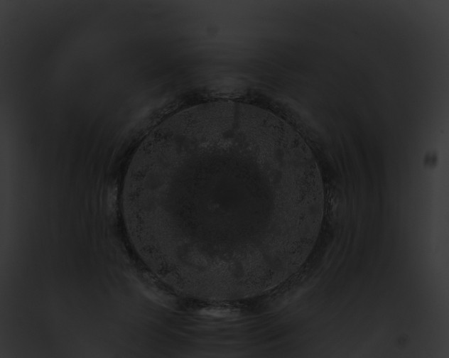 X0000093100745200710031458