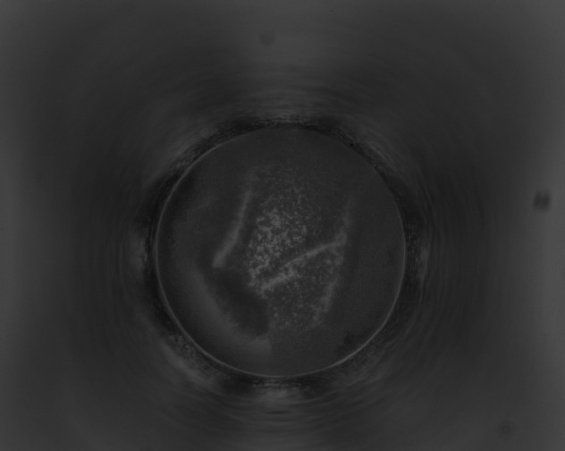 X0000093100746200710031458