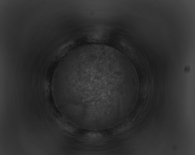 X0000093100749200710031458