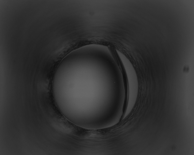 X0000093100750200710031459