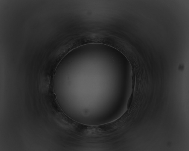 X0000093100752200710031459