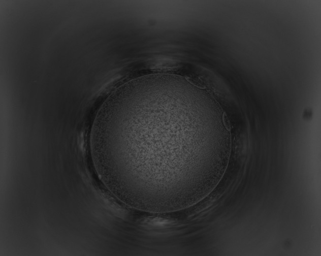 X0000093100755200710031459