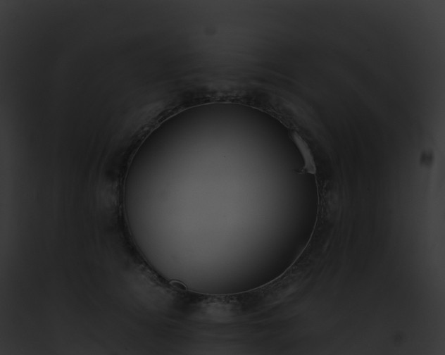 X0000093100756200710031459