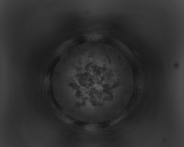 X0000093100761200710031459