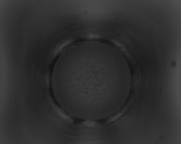 X0000093100762200710031459