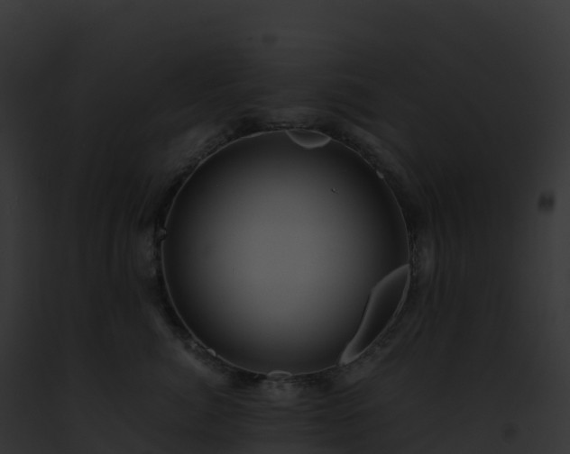 X0000093100764200710031459